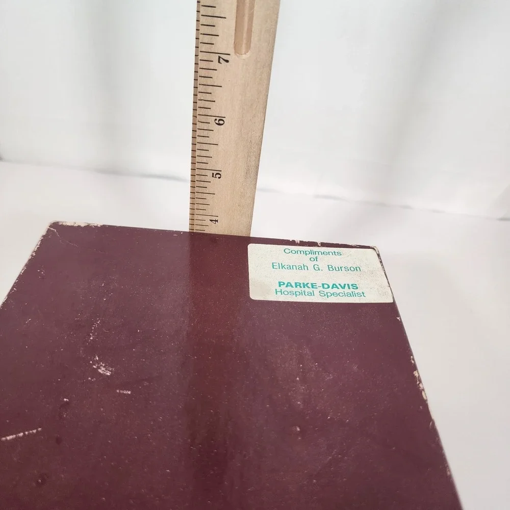 Vintage Parke-Davis VUNATOMY Brain Stem Anatomical Model w/ Box & Fold-Out Guide
